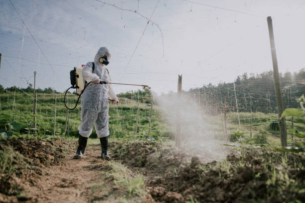 Best Best Pest Control Companies  in Gloucester Point, VA