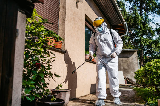 Best Mosquito Control Services  in Gloucester Point, VA