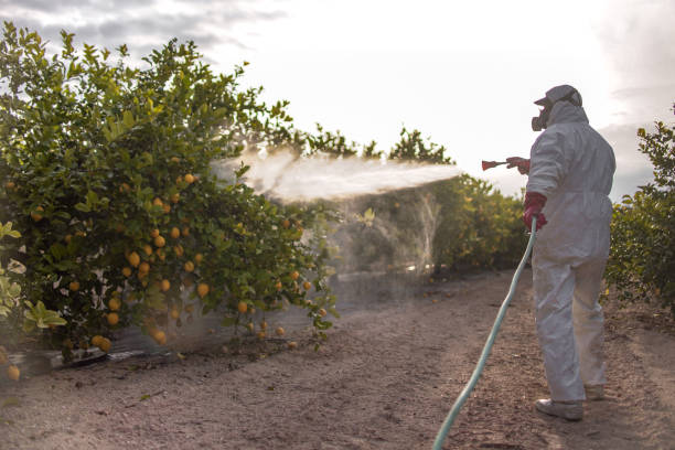 Best Emergency Pest Control  in Gloucester Point, VA