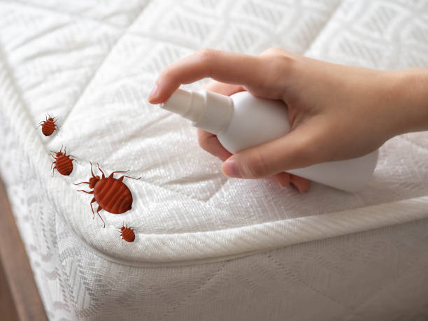 Best Flea Control Services  in Gloucester Point, VA